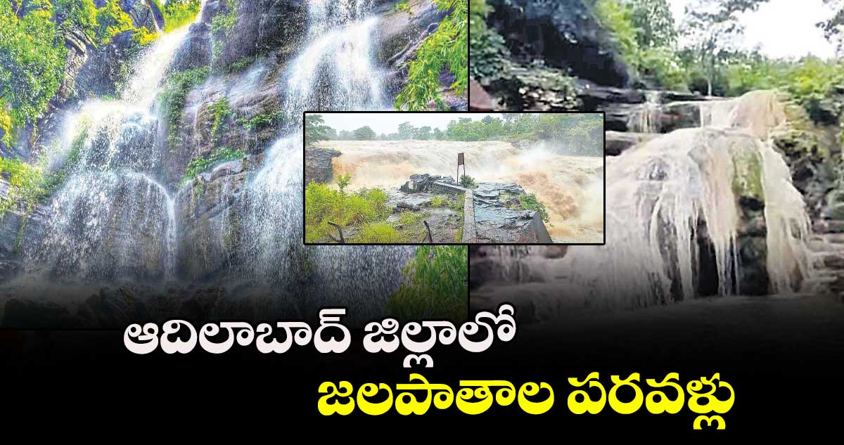 ఆదిలాబాద్ జిల్లాలో జలపాతాల పరవళ్లు