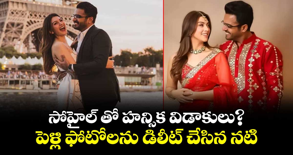 Hansika Motwani: సోహైల్ తో హన్సిక విడాకులు?  పెళ్లి ఫోటోలను డిలీట్ చేసిన నటి