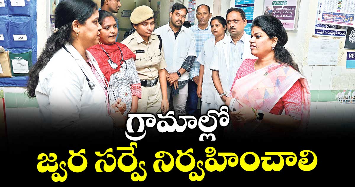 గ్రామాల్లో జ్వర సర్వే నిర్వహించాలి : స్నేహ శబరీశ్