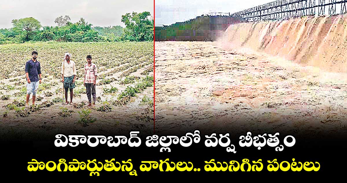 వికారాబాద్ జిల్లాలో వర్ష బీభత్సం.. పొంగిపొర్లుతున్న వాగులు.. మునిగిన పంటలు
