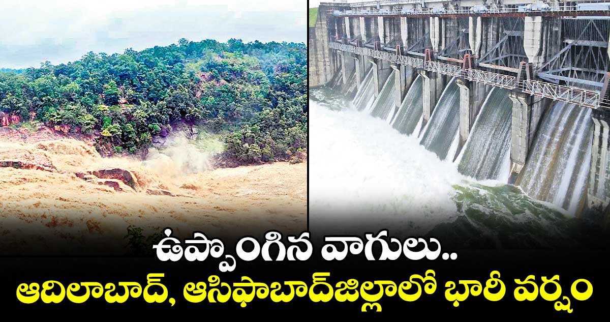 ఉప్పొంగిన వాగులు..ఆదిలాబాద్, ఆసిఫాబాద్జిల్లాలో భారీ వర్షం