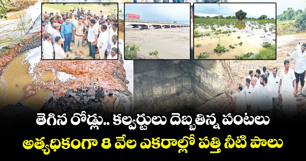 తెగిన రోడ్లు.. కల్వర్టులు దెబ్బతిన్న పంటలు..అత్యధికంగా 8 వేల ఎకరాల్లో పత్తి నీటి పాలు