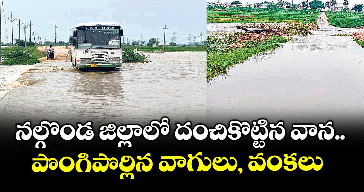 నల్గొండ జిల్లాలో దంచికొట్టిన వాన.. పొంగిపొర్లిన వాగులు, వంకలు 