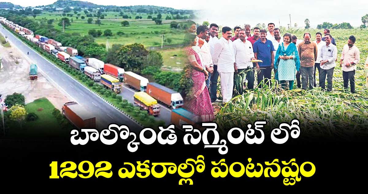 బాల్కొండ సెగ్మెంట్ లో1292 ఎకరాల్లో పంటనష్టం