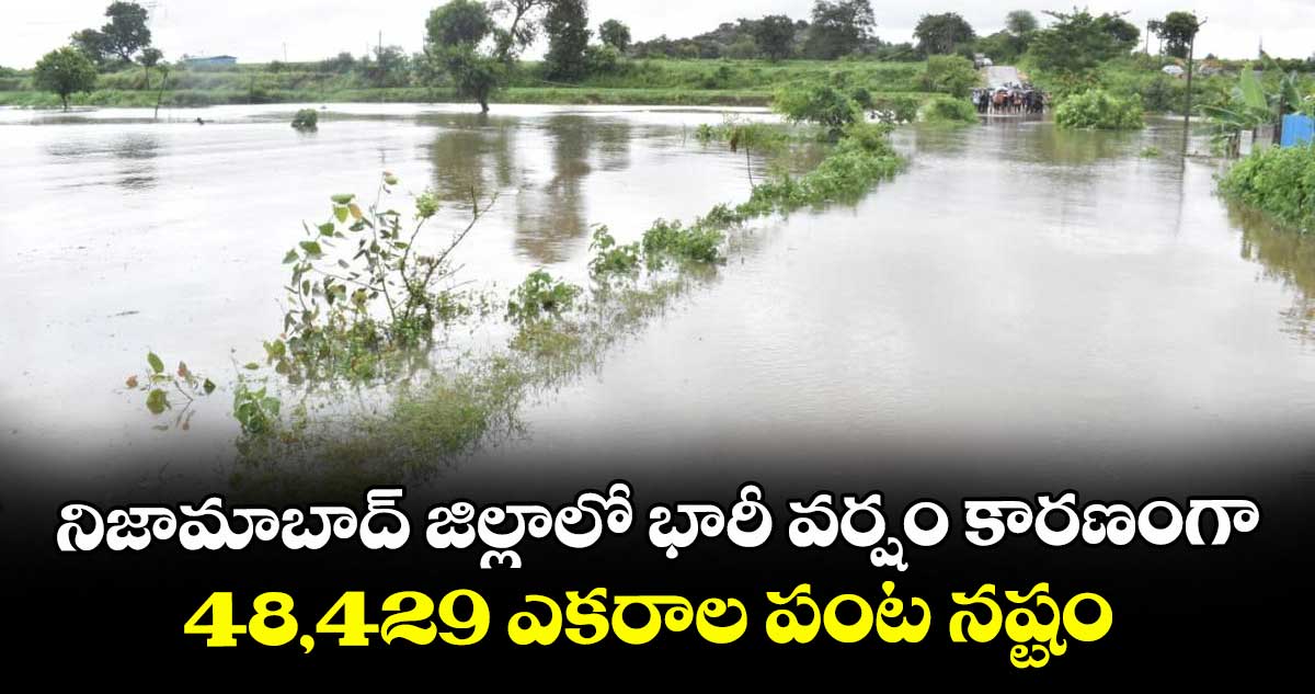 నిజామాబాద్ జిల్లాలో భారీ వర్షం కారణంగా 48,429 ఎకరాల పంట నష్టం