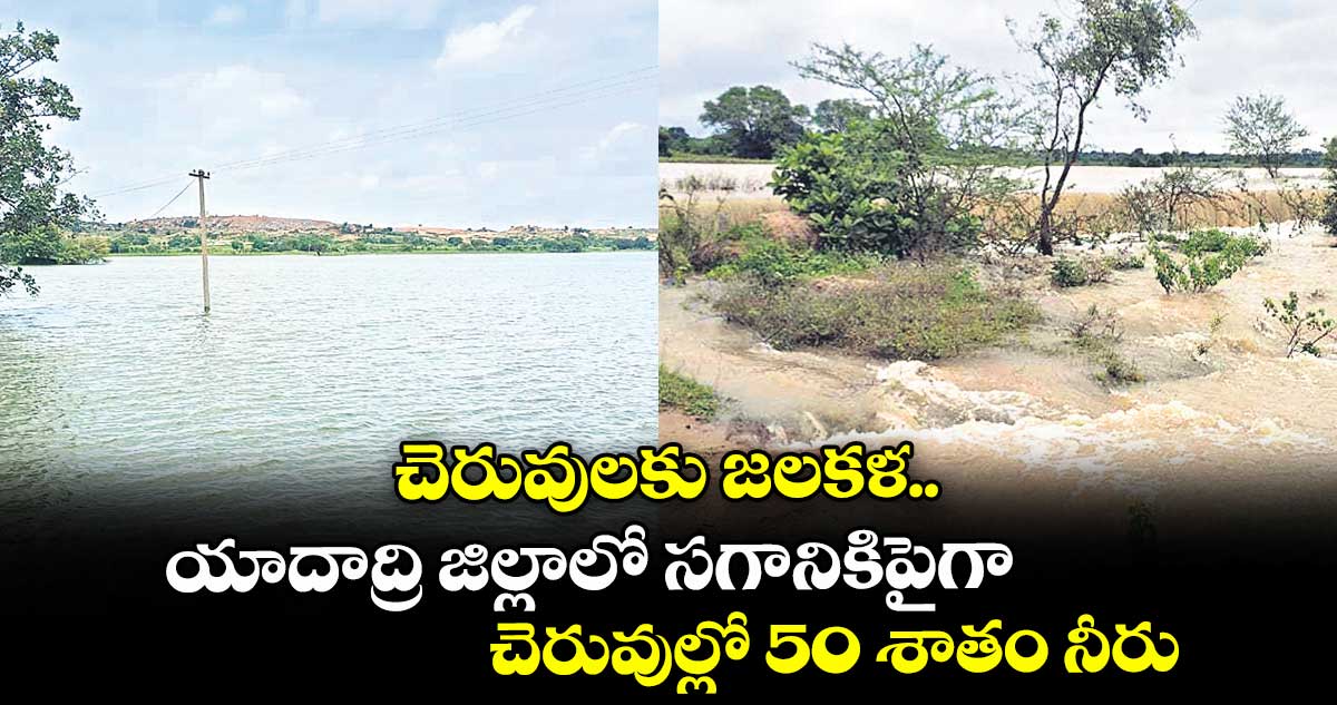 చెరువులకు జలకళ..యాదాద్రి జిల్లాలో సగానికిపైగా చెరువుల్లో 50 శాతం నీరు