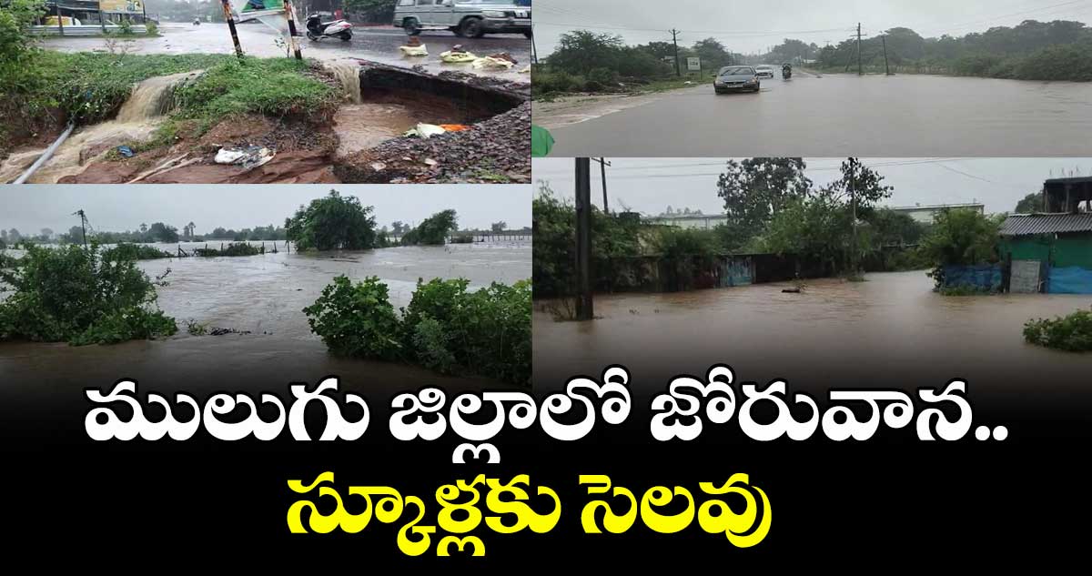 ములుగు జిల్లాలో జోరువాన..స్కూళ్లకు సెలవు  