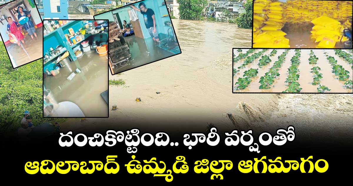 దంచికొట్టింది.. భారీ వర్షంతో ఆదిలాబాద్ ఉమ్మడి జిల్లా ఆగమాగం