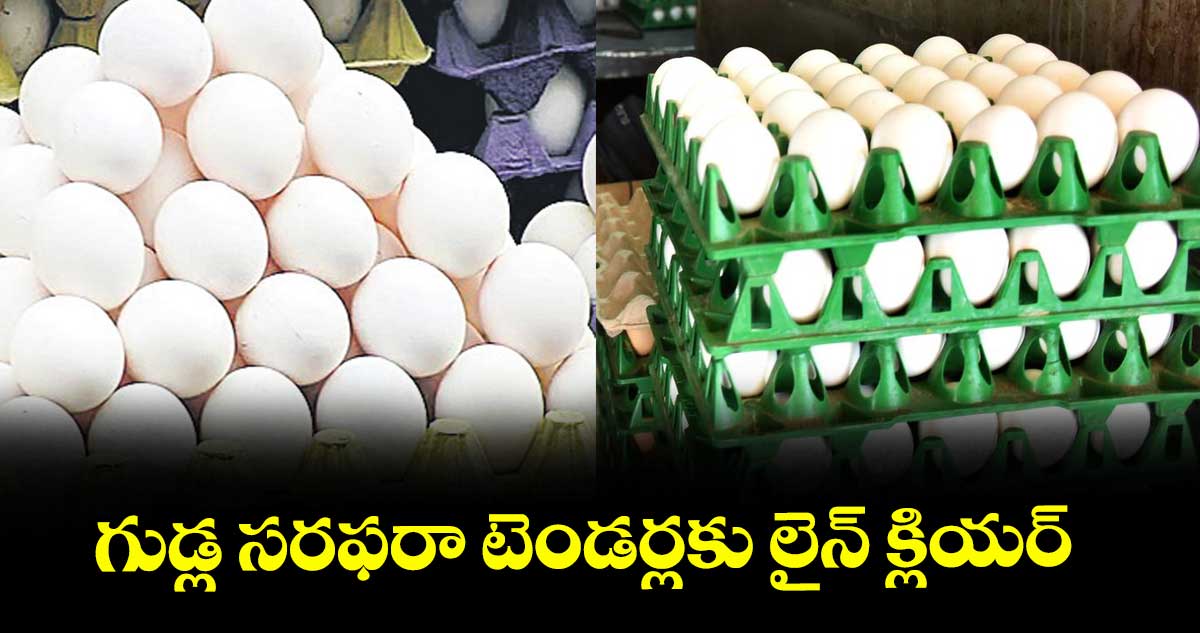 గుడ్ల సరఫరా టెండర్లకు లైన్ క్లియర్