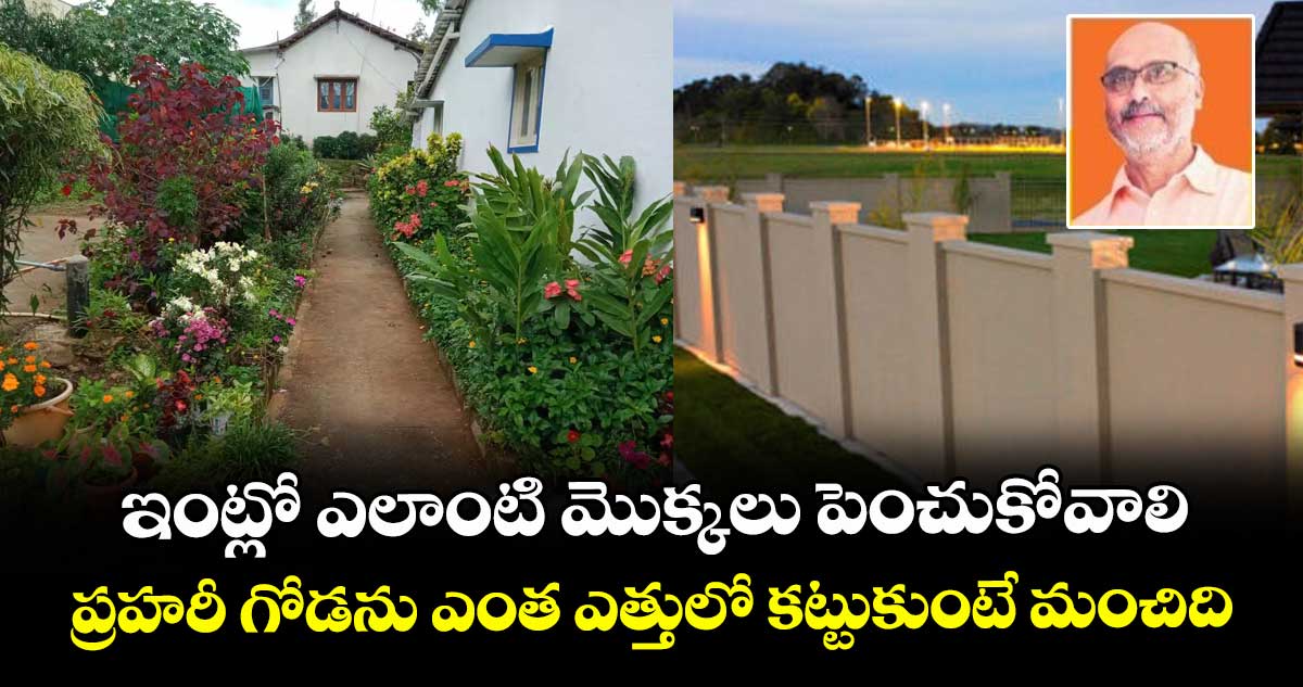 Vastu Tips: ఇంట్లో ఎలాంటి మొక్కలు పెంచుకోవాలి.. ప్రహరీ గోడను ఎంత ఎత్తులో కట్టుకుంటే మంచిది..