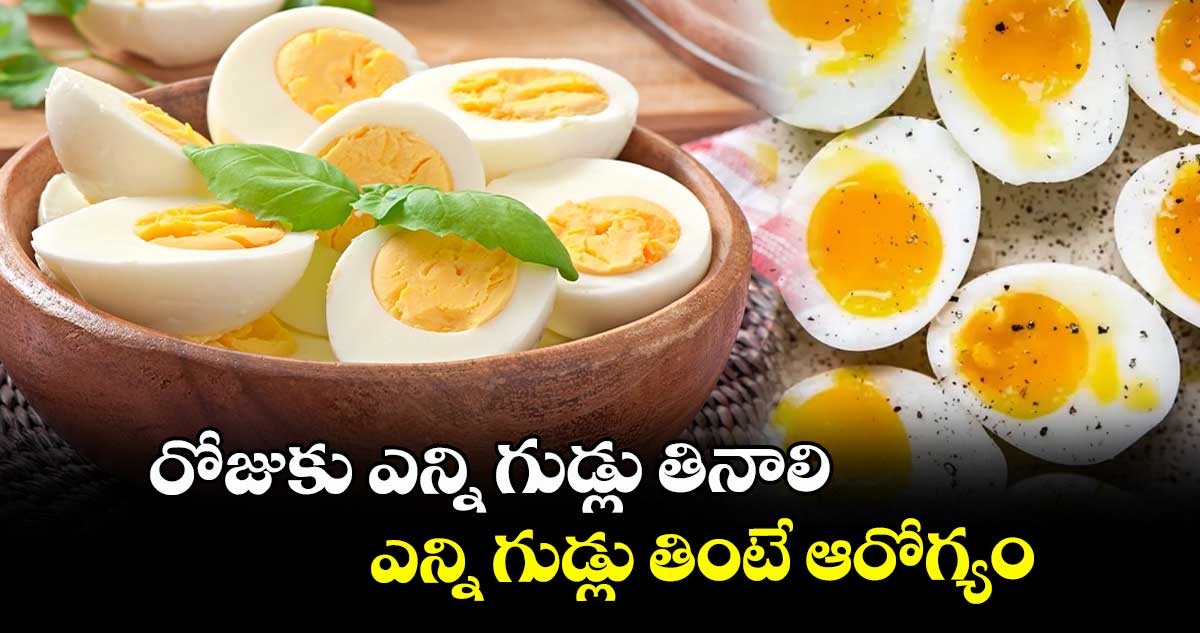 Good Food : రోజుకు ఎన్ని గుడ్లు తినాలి.. ఎన్ని గుడ్లు తింటే ఆరోగ్యం