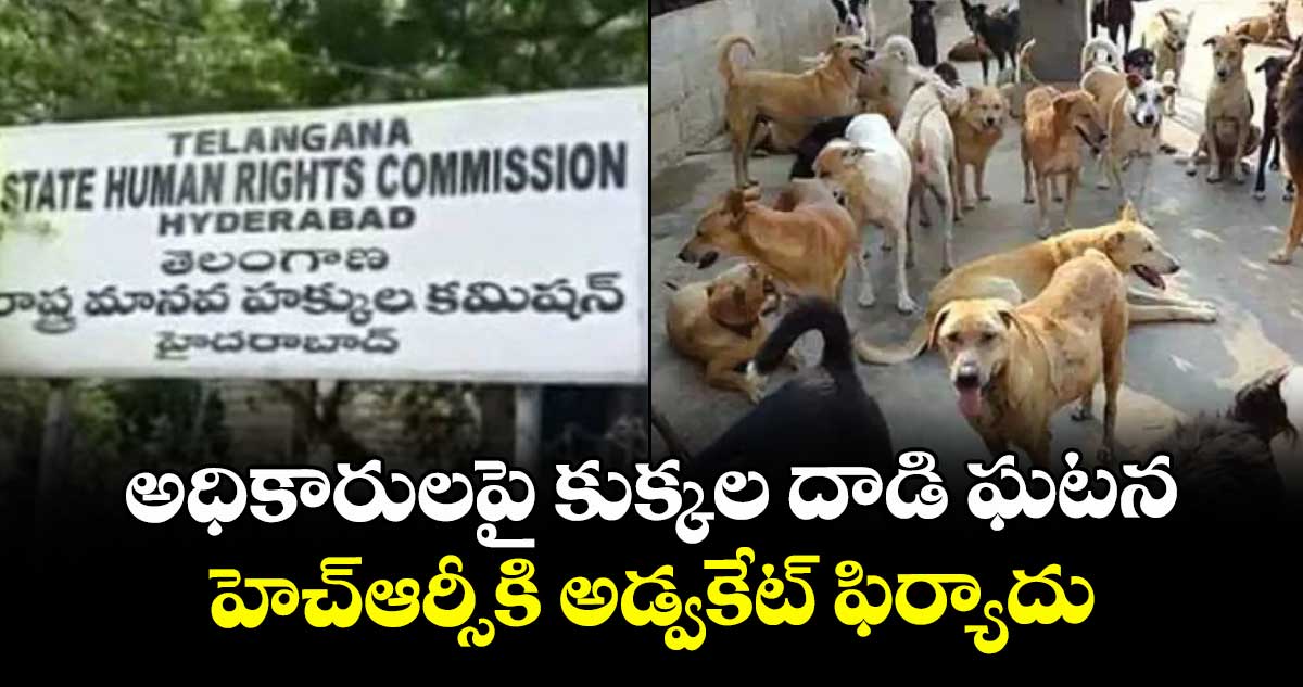 అధికారులపై కుక్కల దాడి ఘటన.. హెచ్ఆర్సీకి అడ్వకేట్ ఫిర్యాదు