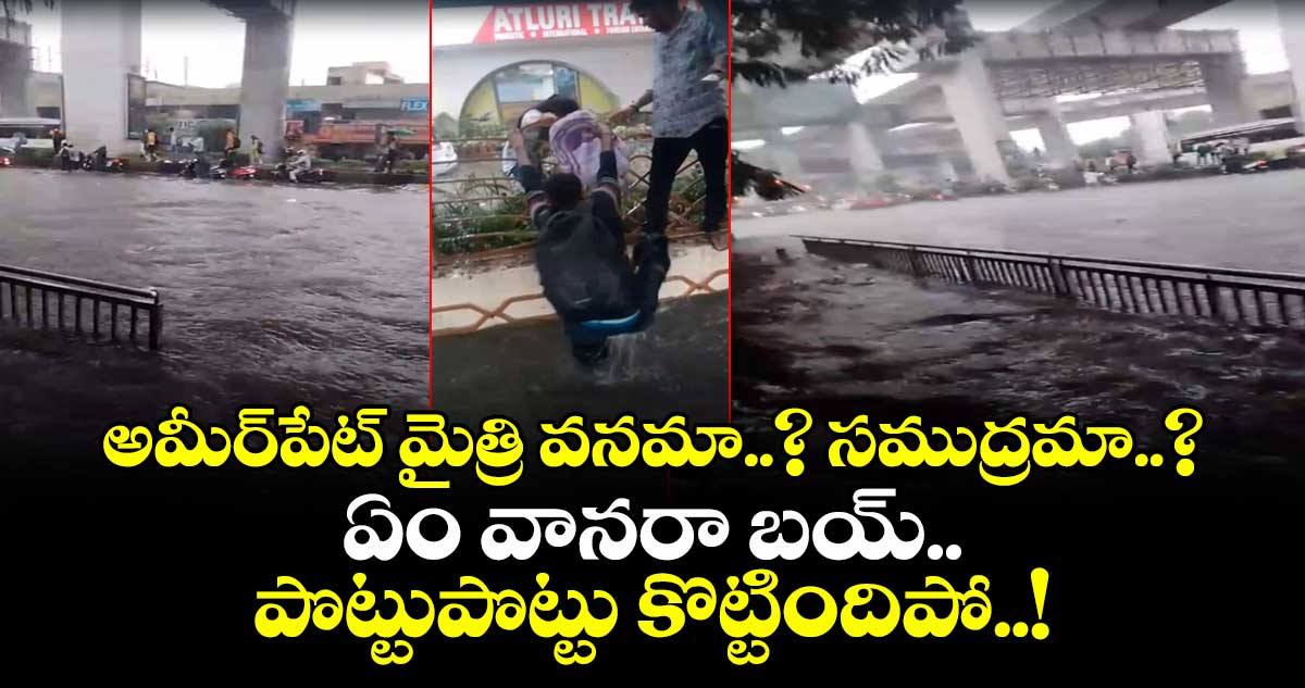 అమీర్⁬పేట్ మైత్రి వనమా..? సముద్రమా..? ఏం వానరా బయ్.. పొట్టుపొట్టు కొట్టిందిపో..!