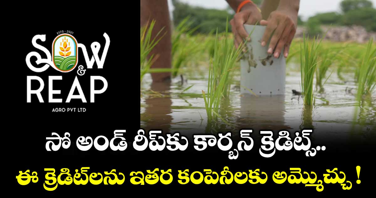సో అండ్ రీప్కు కార్బన్ క్రెడిట్స్.. ఈ క్రెడిట్లను ఇతర కంపెనీలకు అమ్మొచ్చు !