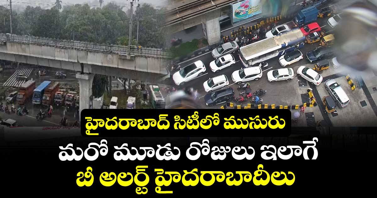 హైదరాబాద్ సిటీలో ముసురు: మరో మూడు రోజులు ఇలాగే: బీ అలర్ట్ హైదరాబాదీలు