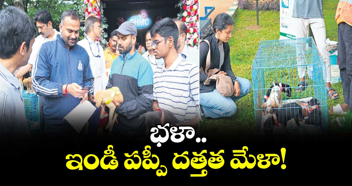భళా.. ఇండీ పప్పీ దత్తత మేళా!