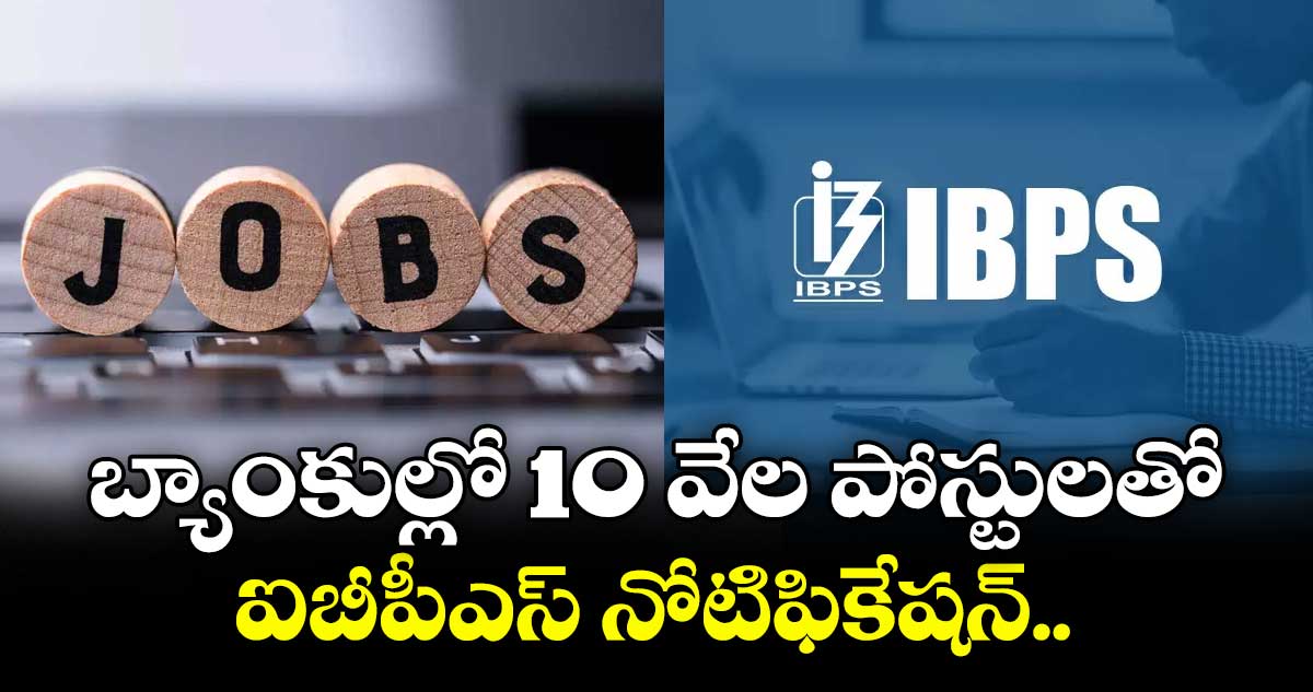 బ్యాంకుల్లో 10 వేల  పోస్టులతో  ఐబీపీఎస్ నోటిఫికేషన్..
