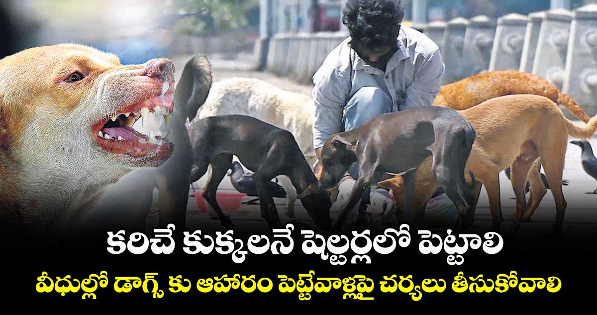 కరిచే కుక్కలనే షెల్టర్లలో పెట్టాలి.. వీధుల్లో డాగ్స్ కు ఆహారం పెట్టేవాళ్లపై చర్యలు తీసుకోవాలి