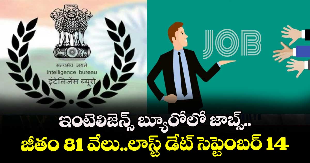 Intelligence Bureau Recruitment 2025:ఇంటెలిజెన్స్ బ్యూరోలో జాబ్స్.. జీతం81వేలు..లాస్ట్ డేట్ సెప్టెంబర్ 14