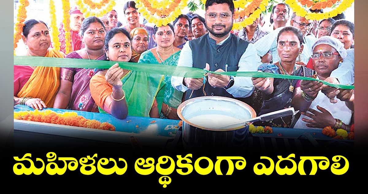 మహిళలు ఆర్థికంగా ఎదగాలి : కలెక్టర్ రిజ్వాన్ భాషా షేక్ 