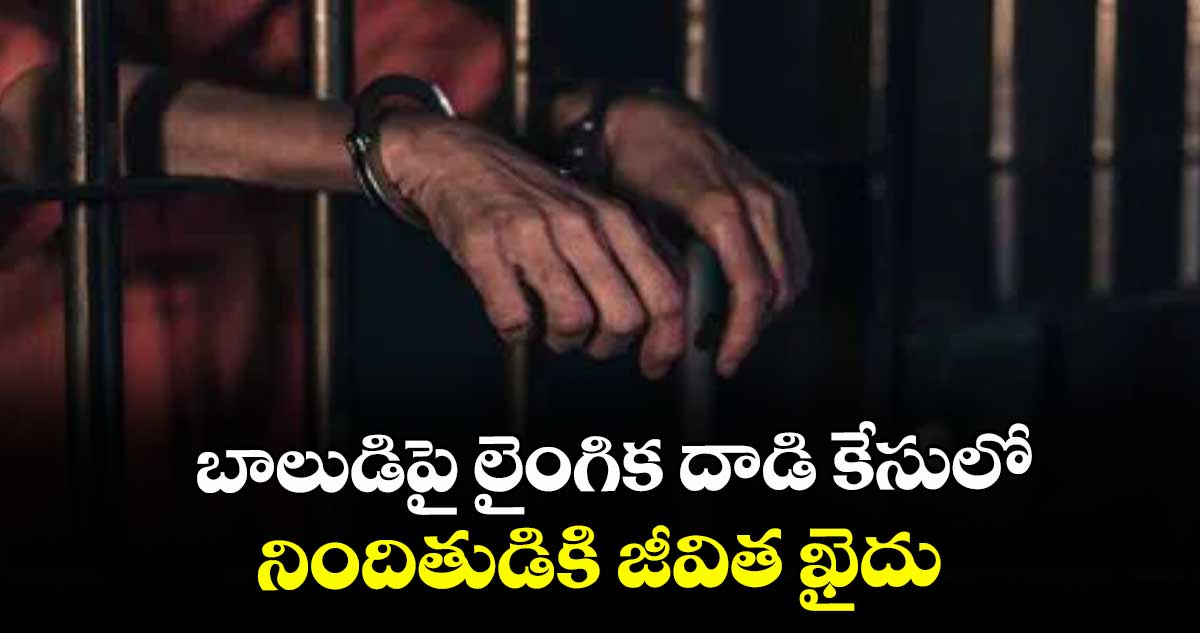 బాలుడిపై లైంగిక దాడి కేసులో నిందితుడికి జీవిత ఖైదు