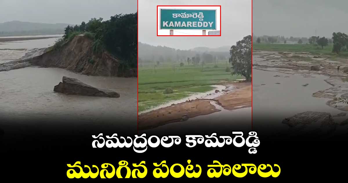Rain update: సముద్రంలా కామారెడ్డి.. మునిగిన పంట పొలాలు..