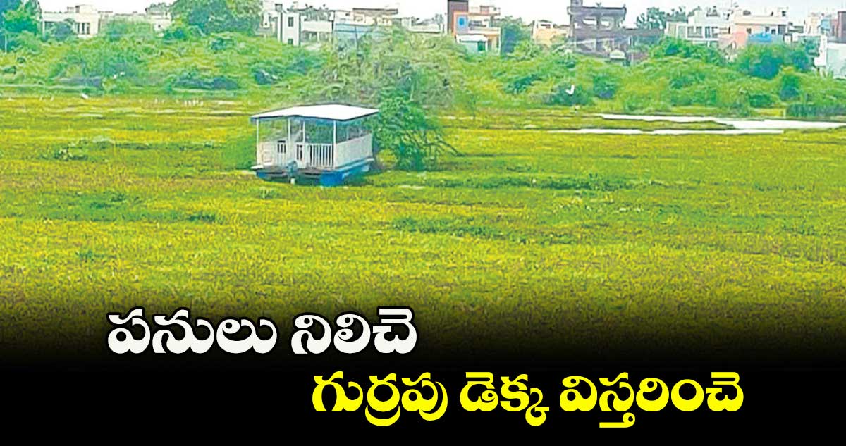 పనులు నిలిచె.. గుర్రపు డెక్క విస్తరించె