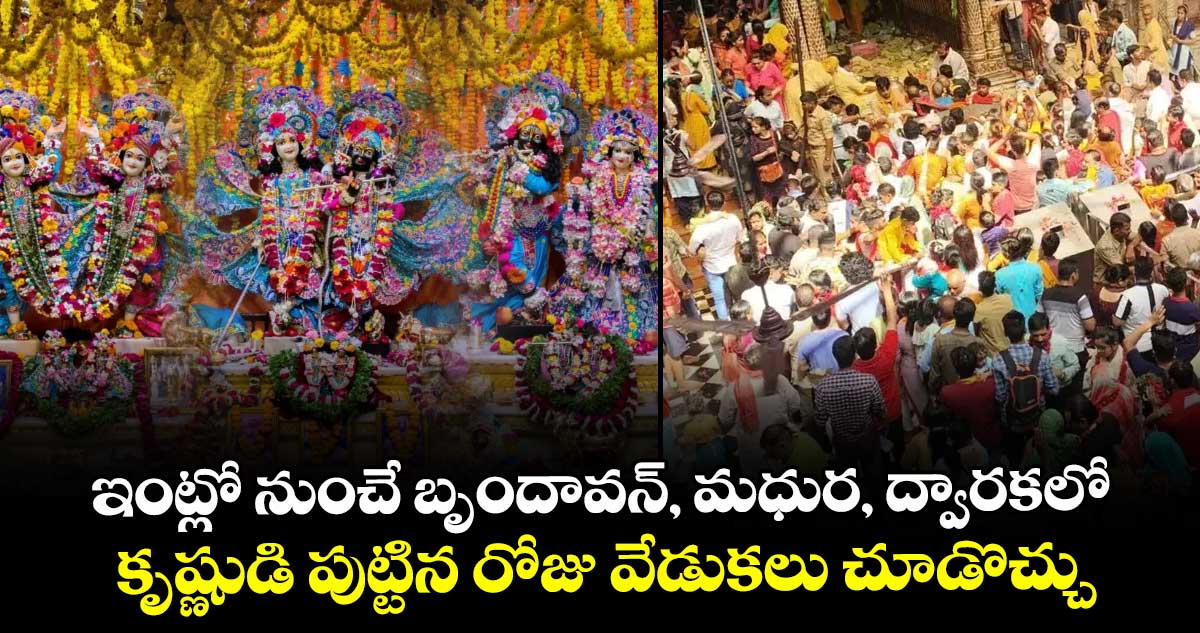 Krishna Janmashtami 2025 : ఇంట్లో నుంచే బృందావన్, మధుర, ద్వారకలో కృష్ణుడి పుట్టిన రోజు వేడుకలు చూడొచ్చు.