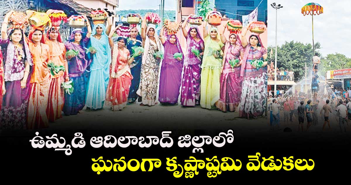 ఉమ్మడి ఆదిలాబాద్ జిల్లాలో ఘనంగా కృష్ణాష్టమి వేడుకలు