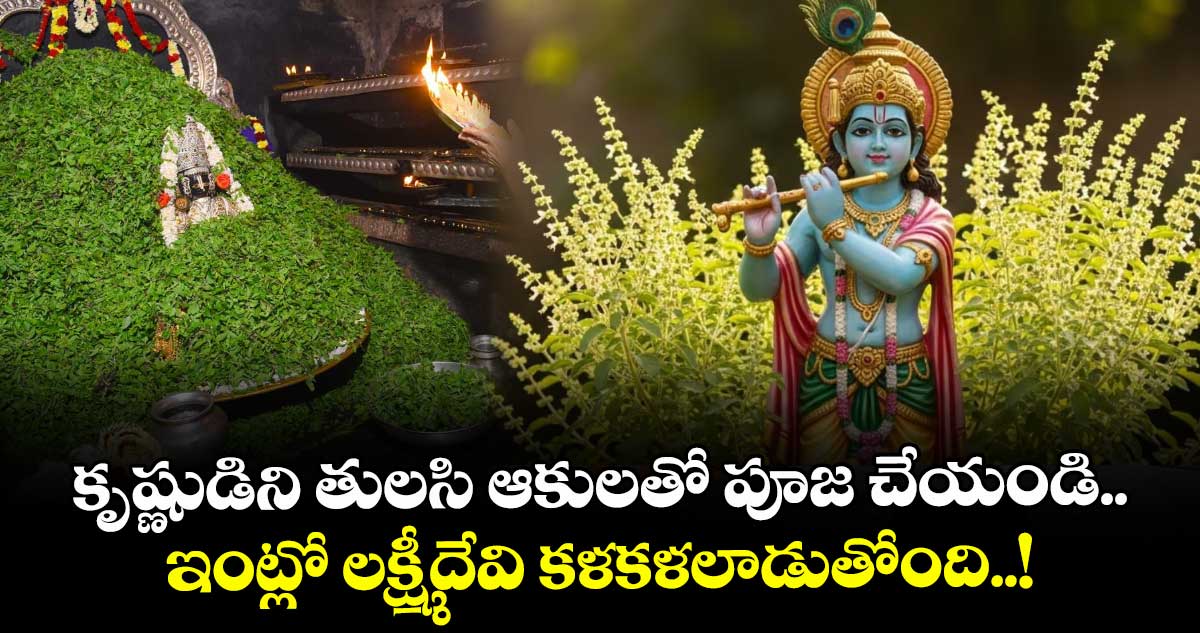Krishna Janmashtami 2025 : కృష్ణుడిని తులసి ఆకులతో పూజ చేయండి.. ఇంట్లో లక్ష్మీదేవి కళకళలాడుతోంది..!