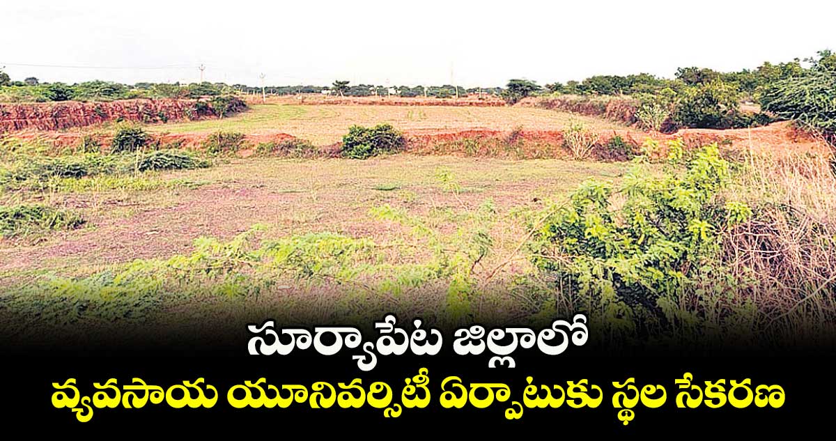 సూర్యాపేట జిల్లాలో వ్యవసాయ యూనివర్సిటీ ఏర్పాటుకు స్థల సేకరణ