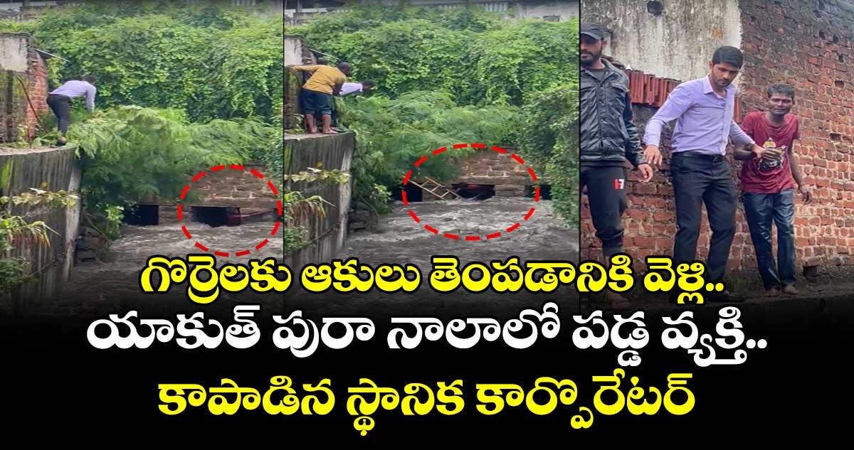 గొర్రెలకు ఆకులు తెంపడానికి వెళ్లి.. యాకుత్ పురా నాలాలో పడ్డ వ్యక్తి.. కాపాడిన స్థానిక కార్పొరేటర్