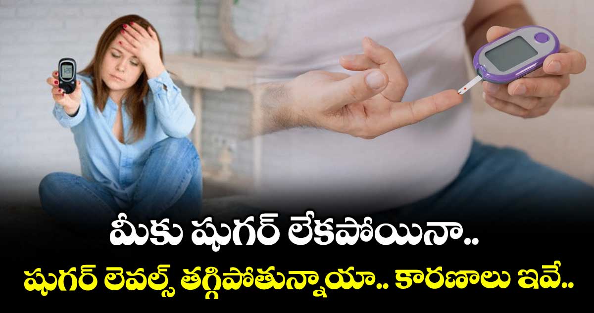 Good Health : మీకు షుగర్ లేకపోయినా.. షుగర్ లెవల్స్ తగ్గిపోతున్నాయా.. కారణాలు ఇవే..