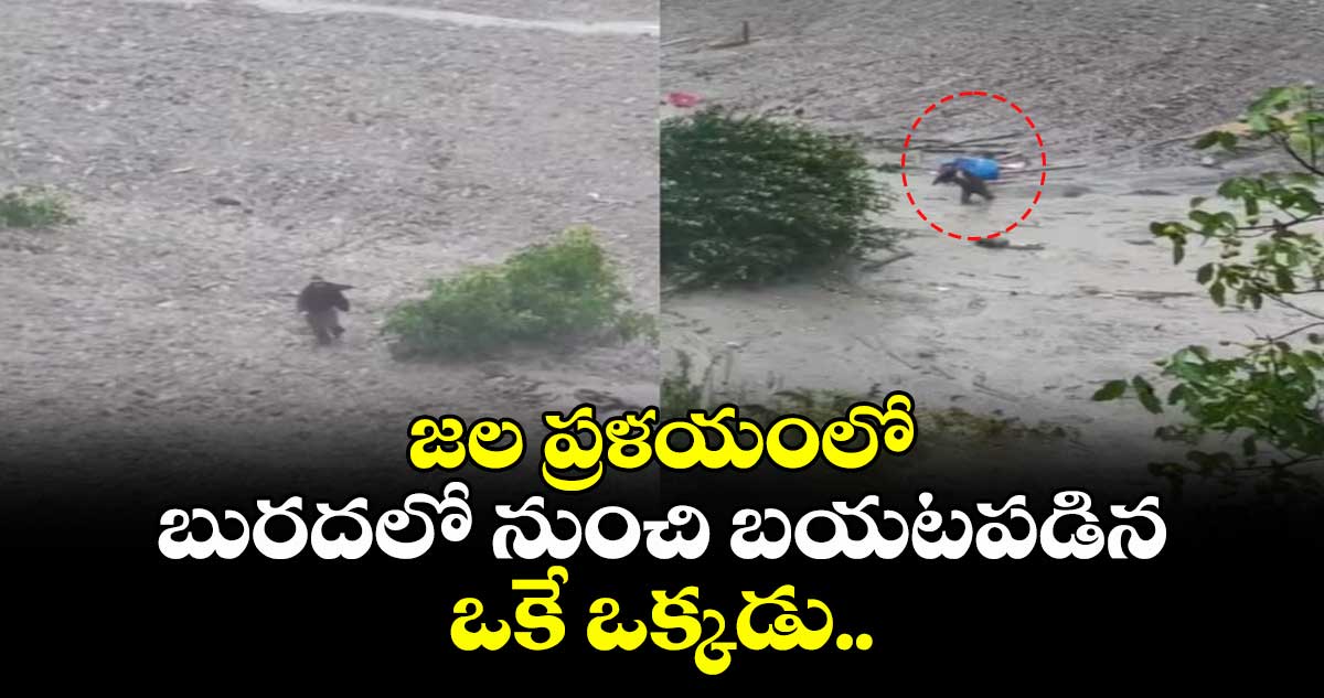 జల ప్రళయంలో బురదలో నుంచి బయటపడిన ఒకే ఒక్కడు