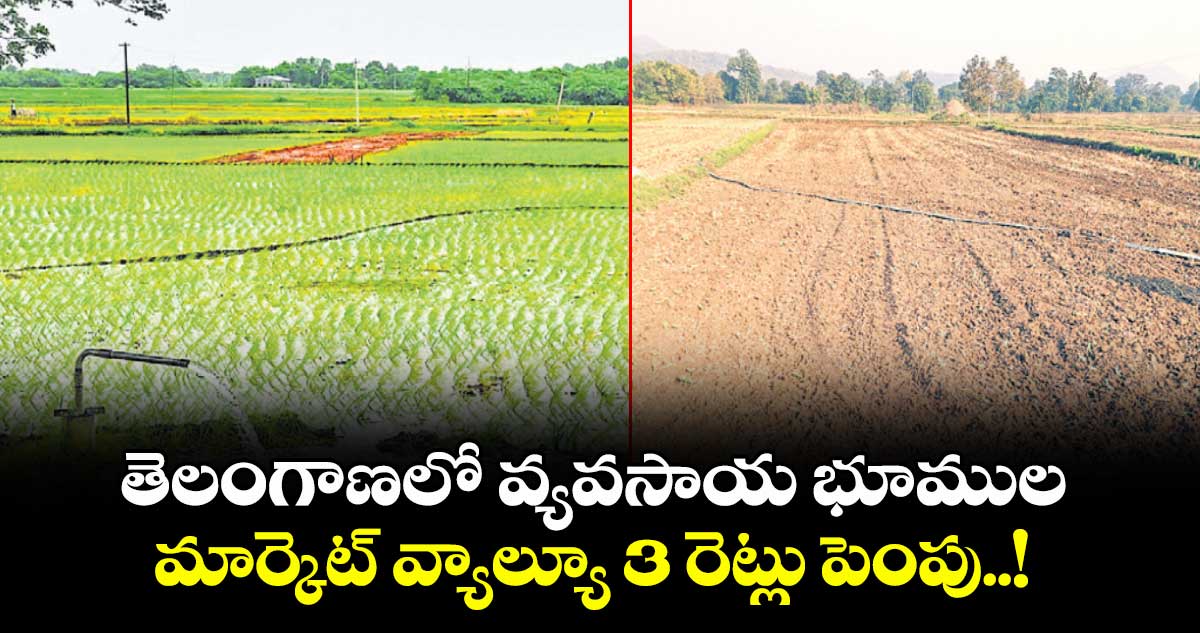 తెలంగాణలో వ్యవసాయ భూముల మార్కెట్ వ్యాల్యూ 3 రెట్లు పెంపు..!