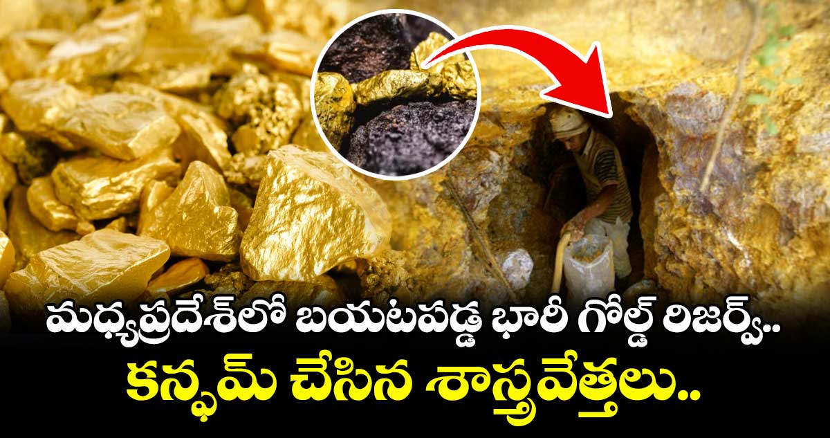 Gold: మధ్యప్రదేశ్లో బయటపడ్డ భారీ గోల్డ్ రిజర్వ్.. కన్ఫమ్ చేసిన శాస్త్రవేత్తలు..