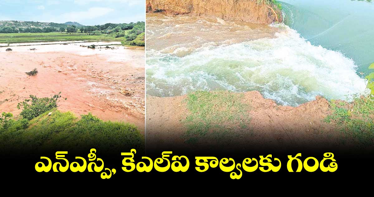 ఎన్ఎస్పీ, కేఎల్ఐ కాల్వలకు గండి
