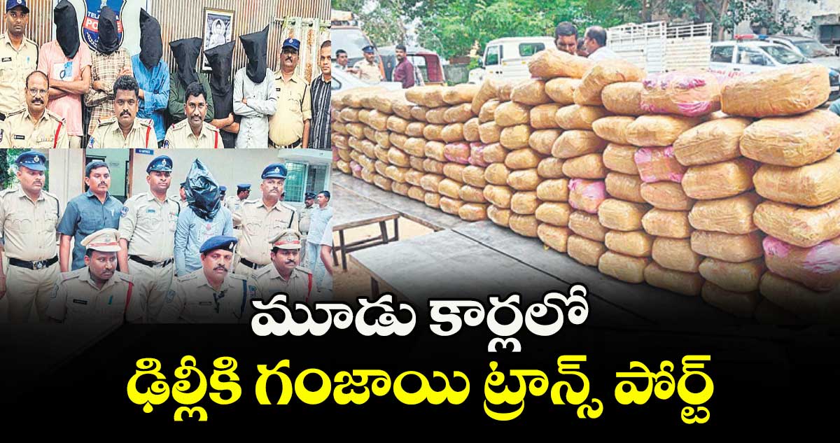 మూడు కార్లలో ఢిల్లీకి గంజాయి ట్రాన్స్ పోర్ట్