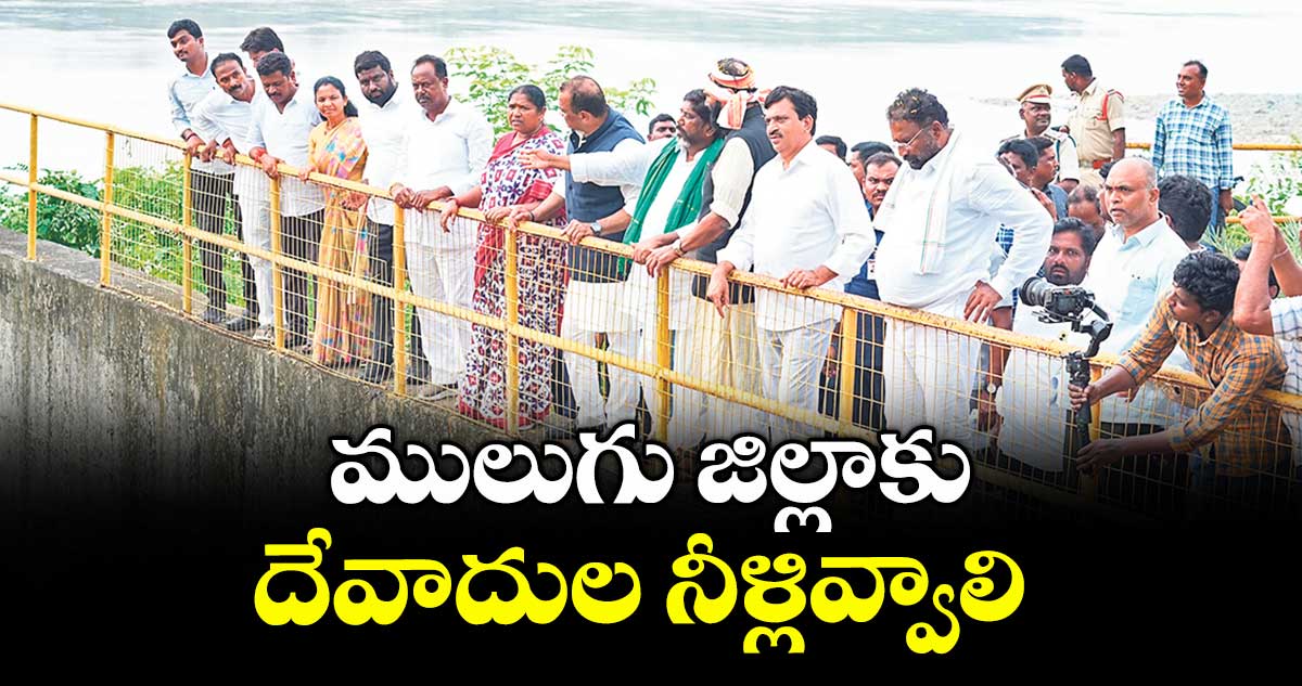 ములుగు జిల్లాకు దేవాదుల నీళ్లివ్వాలి : మంత్రి సీతక్క
