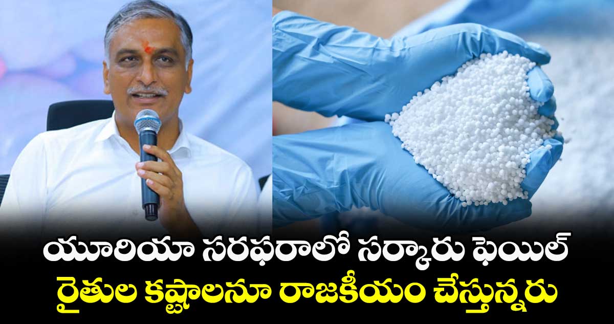 యూరియా సరఫరాలో సర్కారు ఫెయిల్..రైతుల కష్టాలనూ రాజకీయం చేస్తున్నరు: హరీశ్ రావు