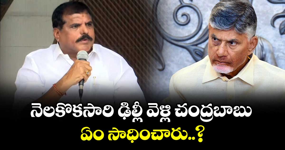 నెలకొకసారి ఢిల్లీ వెళ్లి చంద్రబాబు ఏం సాధించారు..? : ఎమ్మెల్సీ బొత్స
