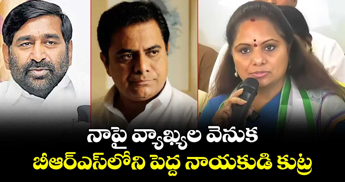 నాపై వ్యాఖ్యల వెనుక బీఆర్ఎస్లోని పెద్ద నాయకుడి కుట్ర: ఎమ్మెల్సీ కవిత