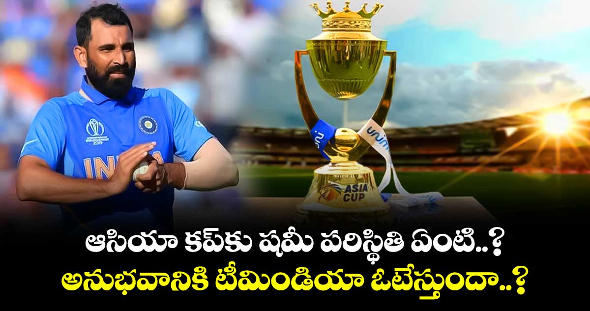 Asia Cup 2025: ఆసియా కప్‌కు షమీ పరిస్థితి ఏంటి..? అనుభవానికి టీమిండియా ఓటేస్తుందా..?