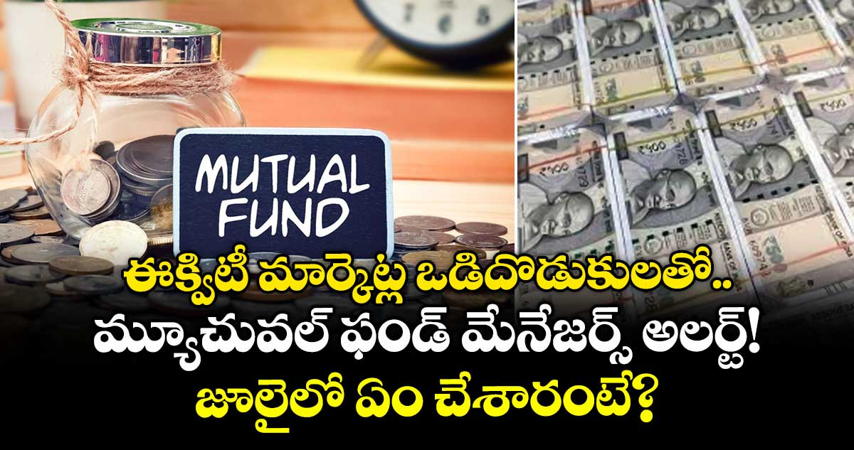 ఈక్విటీ మార్కెట్ల ఒడిదొడుకులతో మ్యూచువల్ ఫండ్ మేనేజర్స్ అలర్ట్! జూలైలో ఏం చేశారంటే?