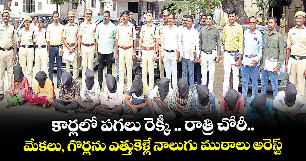 కార్లలో పగలు రెక్కీ.. రాత్రి చోరీ.. మేకలు, గొర్లను ఎత్తుకెళ్లే నాలుగు ముఠాలు అరెస్ట్