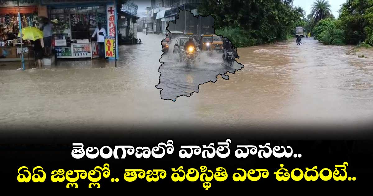 తెలంగాణలో వానలే వానలు.. ఏఏ జిల్లాల్లో తాజా పరిస్థితి ఎలా ఉందంటే..