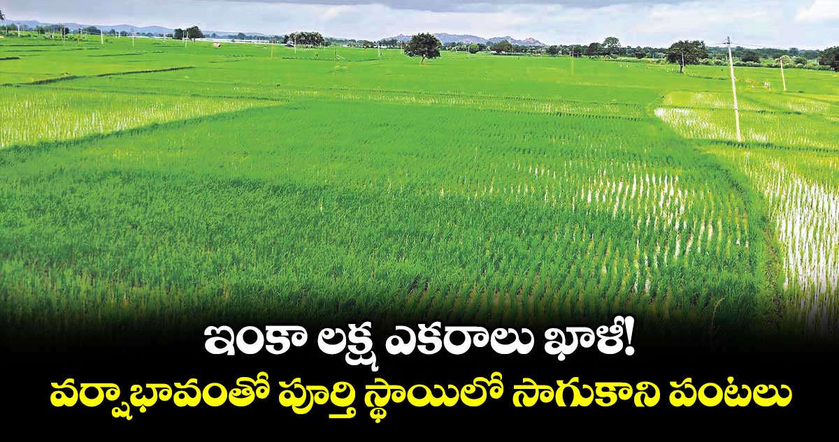 ఇంకా లక్ష ఎకరాలు ఖాళీ!..వర్షాభావంతో పూర్తి స్థాయిలో సాగుకాని పంటలు 