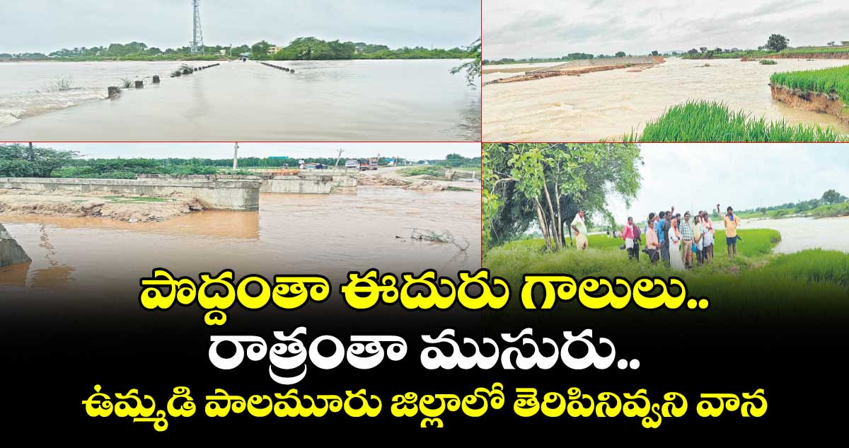 పొద్దంతా ఈదురు గాలులు.. రాత్రంతా ముసురు..ఉమ్మడి పాలమూరు జిల్లాలో తెరిపినివ్వని వాన
