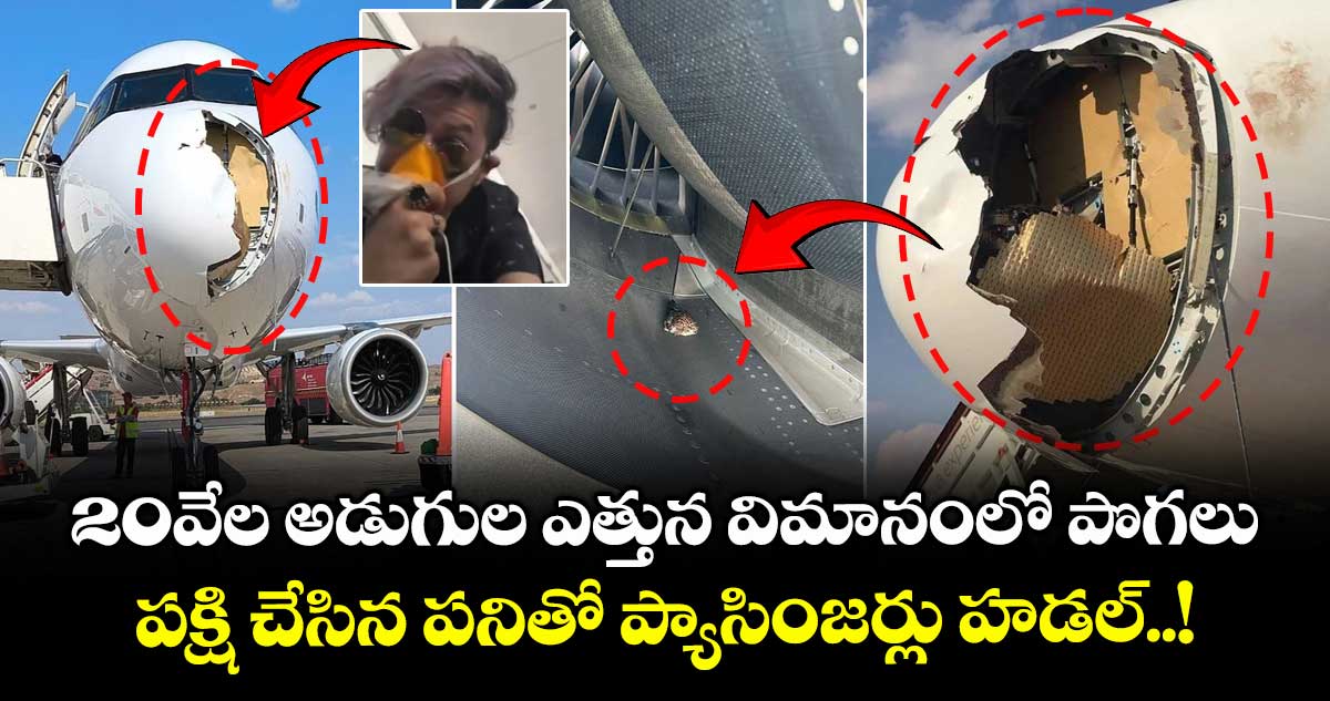 VIDEO: 20వేల అడుగుల ఎత్తున విమానంలో పొగలు.. పక్షి చేసిన పనితో ప్యాసింజర్లు హడల్..!