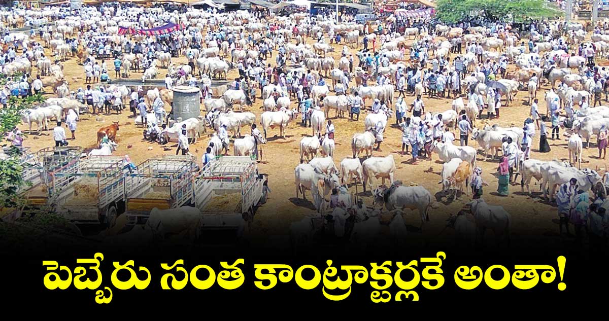 పెబ్బేరు సంత కాంట్రాక్టర్లకే అంతా!